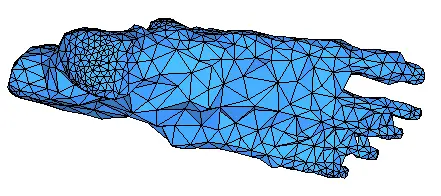 bones-bbox.webp