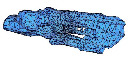 bones-center.webp